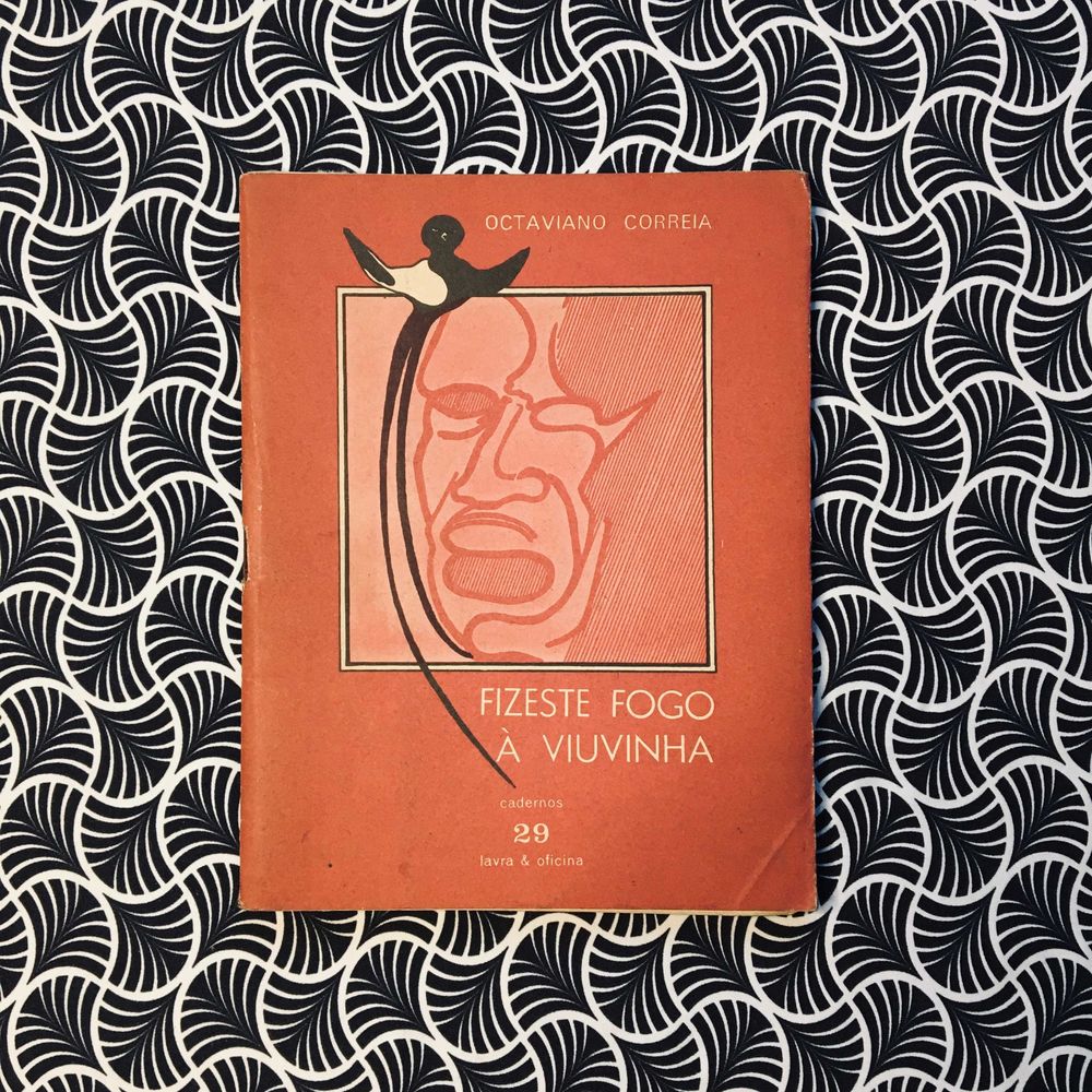 Fizeste Fogo à Viuvinha (1ª ed.) - Octaviano Correia