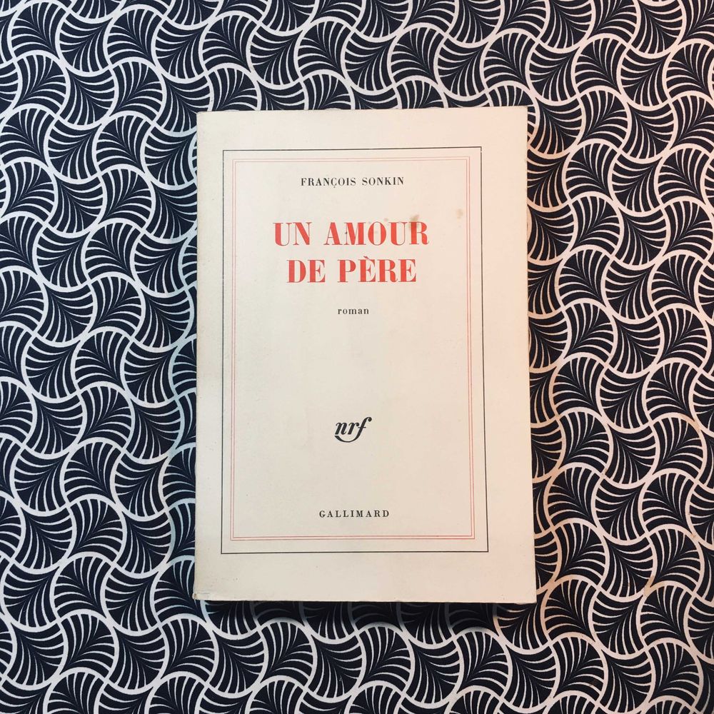 Un Amour de Père - François Sonkin