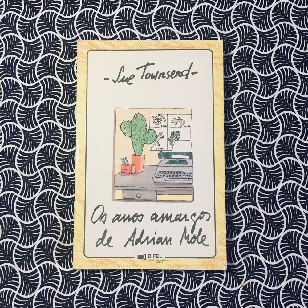 Os Anos Amargos de Adrian Mole - Sue Townsend
