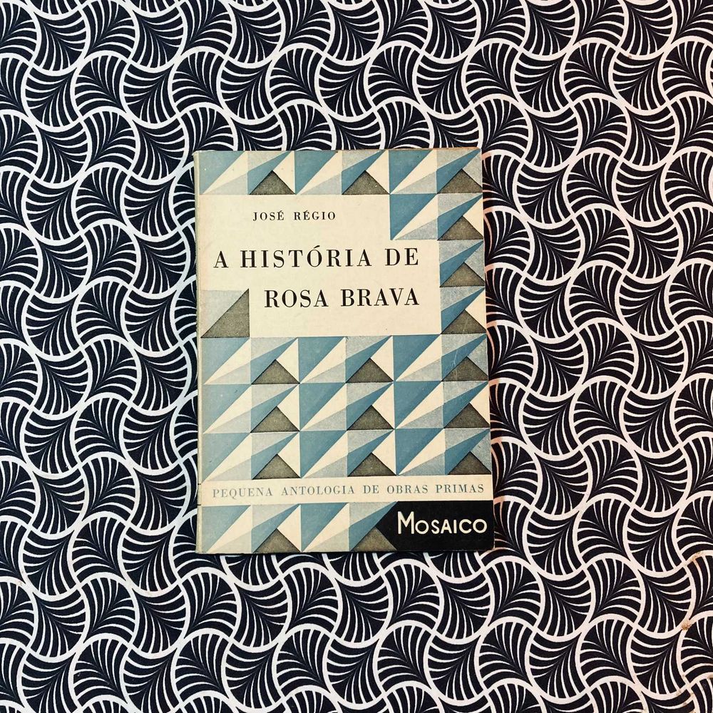 A História de Rosa Brava - José Régio