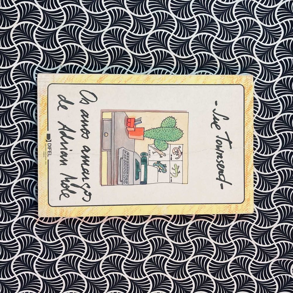 Os Anos Amargos de Adrian Mole - Sue Townsend