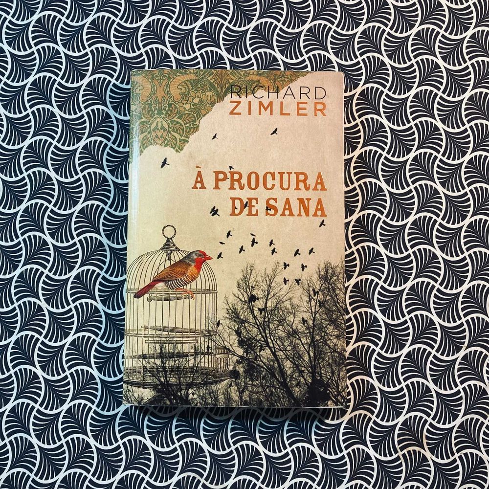 À Procura de Sana - Richard Zimler