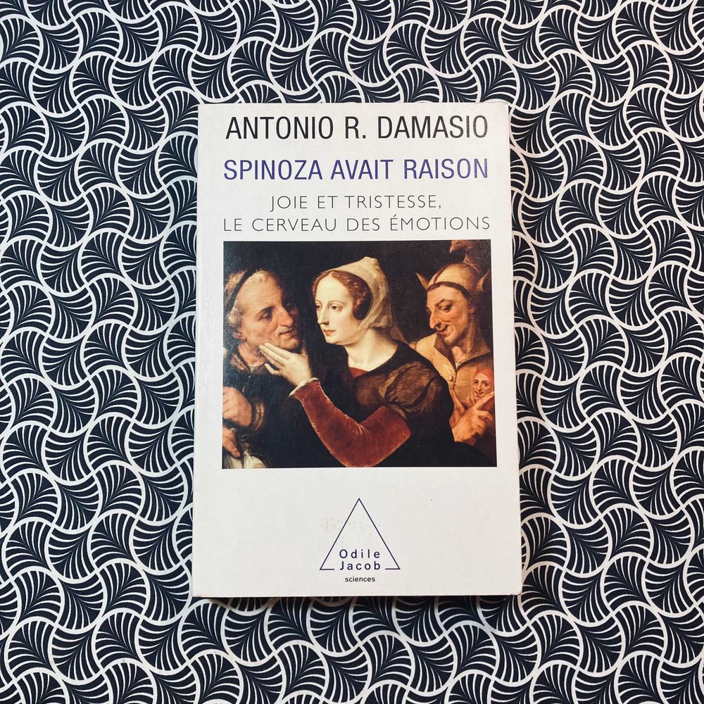 Spinoza Avait Raison: Joie et Tristesse, Le Cerveau des Émotions - Antonio R. Damasio